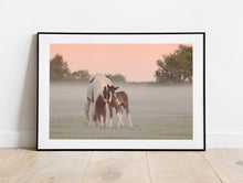 Load image into Gallery viewer, Devon Foal and Horse Equine wall art | Dartmoor Wildlife Photography, Pony wall art - Home Decor Gifts
