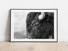Load image into Gallery viewer, Bison in Grand Teton National Park | Black & White Wildlife Print | Yellowstone