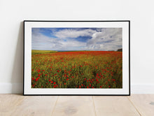 Load image into Gallery viewer, Wildflower Prints of Poly Joke | Poppy Field Photography for Sale, Cornwall Landscape Prints