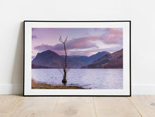 Load image into Gallery viewer, Buttermere Lone Tree Art | Lake district Landscape Photography, wall art, Home Decor