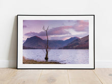 Load image into Gallery viewer, Buttermere Lone Tree Lake District Photography Print