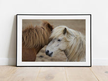 Load image into Gallery viewer, Equine art of an Icelandic Horse | Wildlife Prints for Sale - Home Decor Gifts