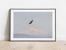 Load image into Gallery viewer, Canadian Bald Eagle Print | Mount Baker Washington wall art, Wildlife Artwork - Home Decor Gifts