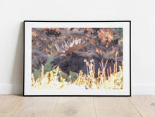 Load image into Gallery viewer, Moose Print – Moose Elk Animal Wall Art | Yellowstone National Park Wildlife Nature Decor & Gift Ideas