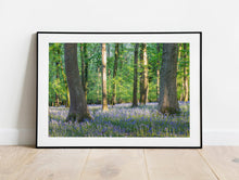 Load image into Gallery viewer, Bluebell Woodland Photography | Spring Wild Flower Art - Home Decor Gifts