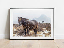 Load image into Gallery viewer, Dartmoor Pony Print | Haytor Rocks in the Snow, Equine wall art - Home Decor Gifts