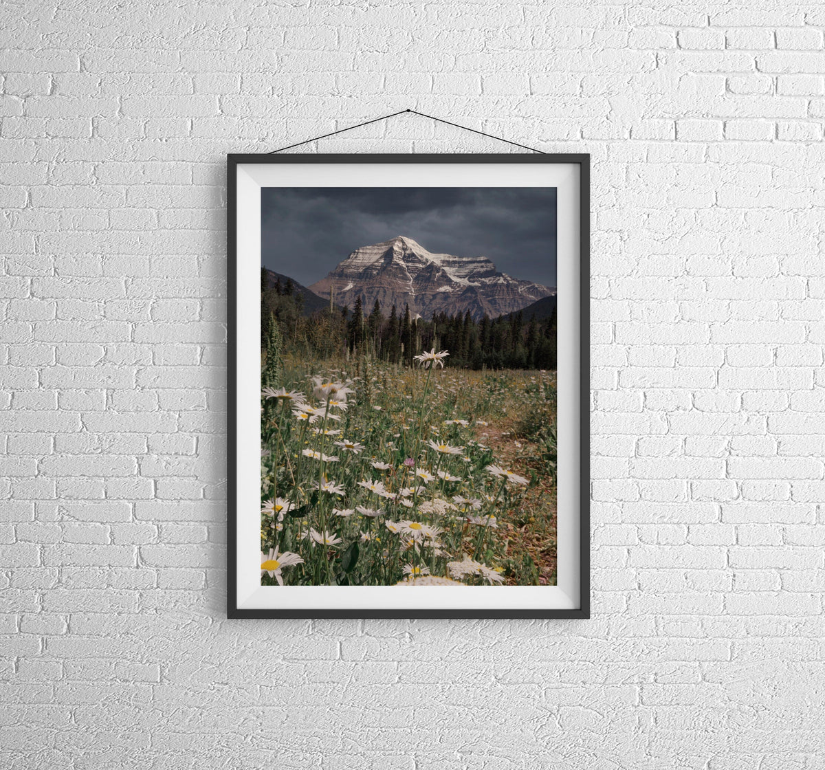 Mount Robson British Columbia Canadian Rockies Wall Art | BC Mountain ...