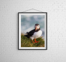 Load image into Gallery viewer, Puffin Prints | Animal Art and Iceland Prints for Sale - Home Decor Gifts