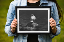 Load image into Gallery viewer, Duck Fine Art Print – Dart Estuary Bird Photography | British Nature Decor & Gift Idea