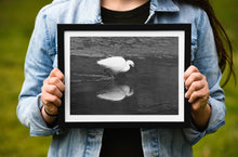 Load image into Gallery viewer, Little Egret Fine Art Print – Heron Kingsbridge Estuary Bird Photography | Nature Decor & Gift Idea