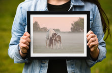 Load image into Gallery viewer, Devon Foal and Horse Equine wall art | Dartmoor Wildlife Photography, Pony wall art - Home Decor Gifts