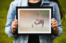 Load image into Gallery viewer, Dartmoor Print of a Pony | Harrowbeer Wildlife Photography, Equine wall art - Home Decor Gifts