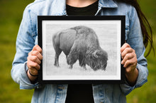 Load image into Gallery viewer, Bison Fine Art Print – Buffalo Black and White Animal Wall Art | Yellowstone National Park Wildlife Nature Decor & Gift Ideas