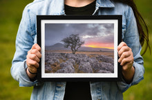 Load image into Gallery viewer, Yorkshire Dales Landscape Photography | Twistleton Scar Photos Limestone Tree Sunset Wall Art for Sale - Home Decor Gifts