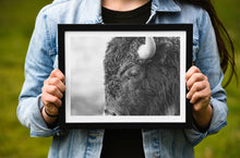 Load image into Gallery viewer, Bison in Grand Teton National Park | Black & White Wildlife Print | Yellowstone