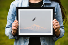 Load image into Gallery viewer, Canadian Bald Eagle Print | Mount Baker Washington wall art, Wildlife Artwork - Home Decor Gifts