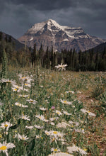 Load image into Gallery viewer, MT Robson Landscape Photography | British Columbia Canada Rockies Mountain Wall Art - Home Decor Gifts