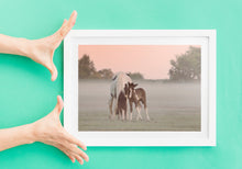 Load image into Gallery viewer, Devon Foal and Horse Equine wall art | Dartmoor Wildlife Photography, Pony wall art - Home Decor Gifts