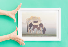 Load image into Gallery viewer, Foal and Pony Equine wall art  | Dartmoor Wildlife Photography, Horse wall art - Home Decor Gifts