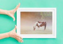 Load image into Gallery viewer, Dartmoor Print of a Pony | Harrowbeer Wildlife Photography, Equine wall art - Home Decor Gifts