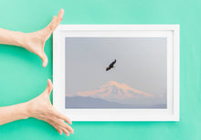 Load image into Gallery viewer, Canadian Bald Eagle Print | Mount Baker Washington wall art, Wildlife Artwork - Home Decor Gifts