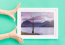 Load image into Gallery viewer, Buttermere Lone Tree Art | Lake district Landscape Photography, wall art, Home Decor