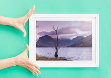 Load image into Gallery viewer, Buttermere Lone Tree Lake District Photography Print