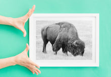 Load image into Gallery viewer, Bison Grand Teton National Park Black & White Wildlife Photography Print | Yellowstone