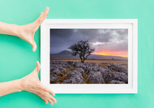 Load image into Gallery viewer, Yorkshire Dales Landscape Photography | Twistleton Scar Photos Limestone Tree Sunset Wall Art for Sale - Home Decor Gifts