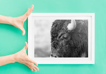 Load image into Gallery viewer, Bison, Grand Teton National Park, Wyoming | Black & White Wildlife Photography Print