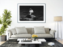 Load image into Gallery viewer, Duck Fine Art Print – Dart Estuary Bird Photography | British Nature Decor & Gift Idea
