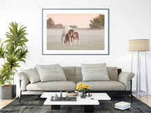 Load image into Gallery viewer, Devon Foal and Horse Equine wall art | Dartmoor Wildlife Photography, Pony wall art - Home Decor Gifts