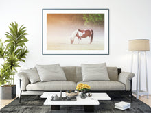 Load image into Gallery viewer, Dartmoor Print of a Pony | Harrowbeer Wildlife Photography, Equine wall art - Home Decor Gifts