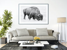 Load image into Gallery viewer, Bison Grand Teton National Park Black & White Wildlife Photography Print | Yellowstone