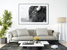 Load image into Gallery viewer, Bison, Grand Teton National Park, Wyoming | Black & White Wildlife Photography Print