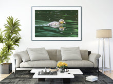 Load image into Gallery viewer, A Duckling on the River Dart | South Devon Duck Bird Nature Photography - Home Decor Gifts Wall
