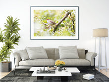 Load image into Gallery viewer, Reed Warbler Bird Prints | Wiltshire Kennet & Avon Canal Nature Photography  - Home Decor Gifts Wall