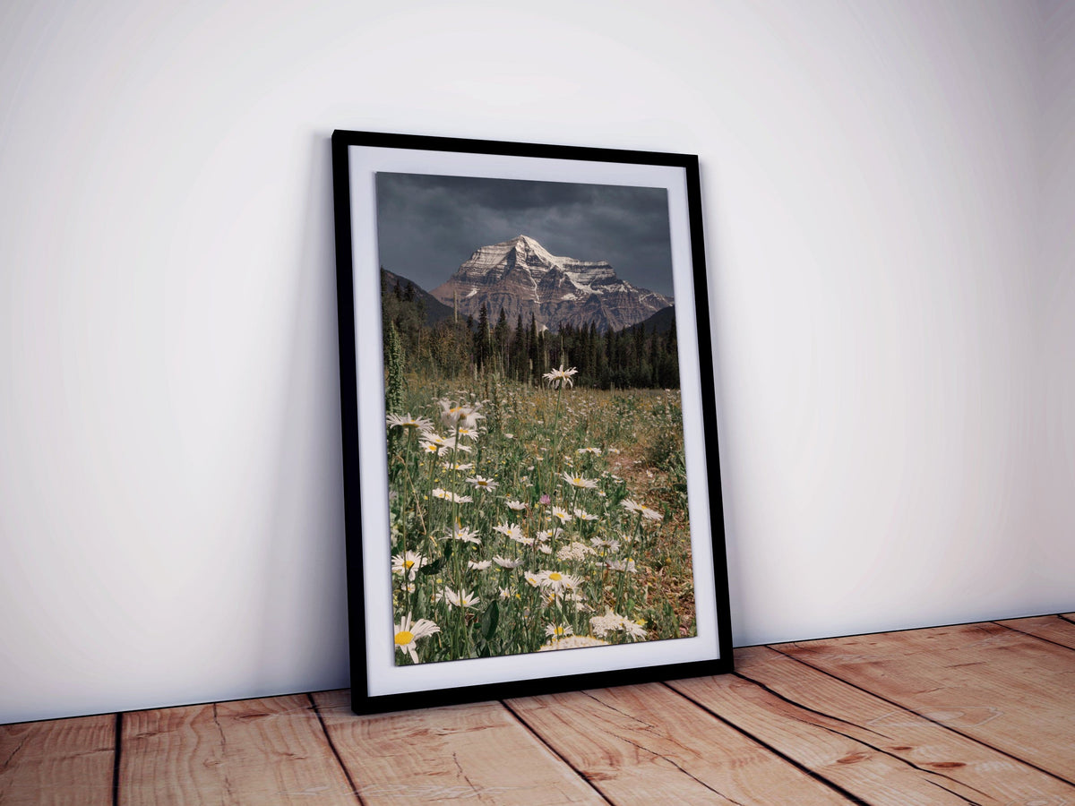 Mount Robson British Columbia Canadian Rockies Wall Art | BC Mountain ...