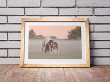 Load image into Gallery viewer, Devon Foal and Horse Equine wall art | Dartmoor Wildlife Photography, Pony wall art - Home Decor Gifts