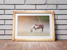 Load image into Gallery viewer, Dartmoor Print of a Pony | Harrowbeer Wildlife Photography, Equine wall art - Home Decor Gifts
