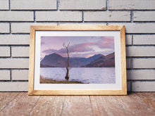 Load image into Gallery viewer, Buttermere Lone Tree Art | Lake district Landscape Photography, wall art, Home Decor