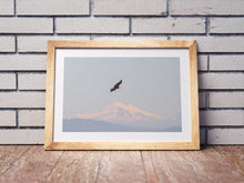 Load image into Gallery viewer, Canadian Bald Eagle Print | Mount Baker Washington wall art, Wildlife Artwork - Home Decor Gifts