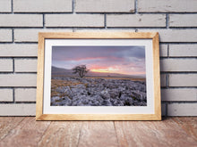 Load image into Gallery viewer, Twistleton Scar Photography | Yorkshire Landscape Photos Limestone Tree Sunset Wall Art for Sale - Home Decor Gifts