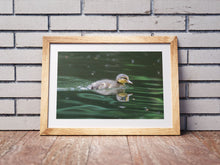 Load image into Gallery viewer, A Duckling on the River Dart | South Devon Duck Bird Nature Photography - Home Decor Gifts Wall