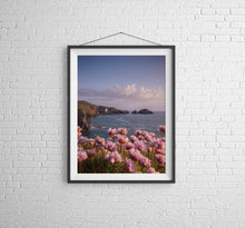 Load image into Gallery viewer, Cornish Wildflower Print | Mother Ivy's Bay Wall Art, Cornish RNLI Lifeboat Station - Home Decor Gifts - Sebastien Coell Photography