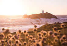 Load image into Gallery viewer, Cornwall prints | Godrevy Lighthouse wall art, Cornish Wildflower Seascape - Home Decor - Sebastien Coell Photography