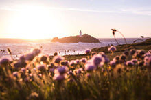 Load image into Gallery viewer, Cornish art | Godrevy Lighthouse Prints, Wildflower Seascape Photography - Home Decor - Sebastien Coell Photography