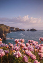 Load image into Gallery viewer, Cornish Wildflower Print | Mother Ivy's Bay Wall Art, Cornish RNLI Lifeboat Station - Home Decor Gifts - Sebastien Coell Photography