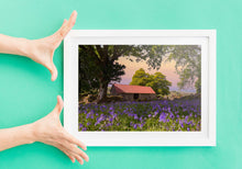 Load image into Gallery viewer, Dartmoor Print of Emsworthy Bluebells | Wildflower flora wall art - Home Decor Gifts - Sebastien Coell Photography