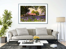 Load image into Gallery viewer, Dartmoor Print of Emsworthy Bluebells | Wildflower flora wall art - Home Decor Gifts - Sebastien Coell Photography